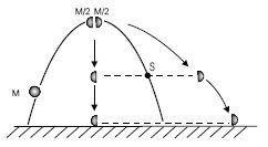 bild01.jpg