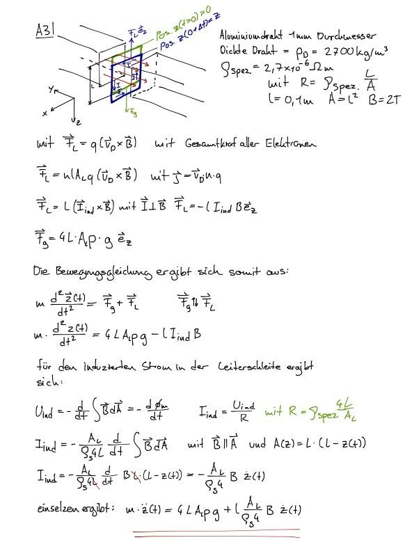 bungsblatt 7.jpg