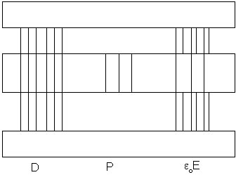 diel-Verschiebung.jpg