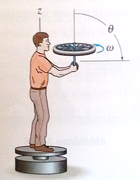drehimpulsbsp6ncz3yu5x9.png