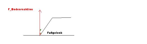 Drehmoment um Fußgelenk.JPG
