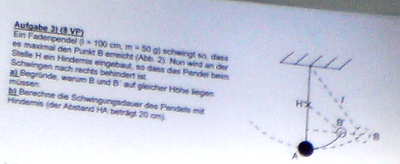 DSC01306.jpg
