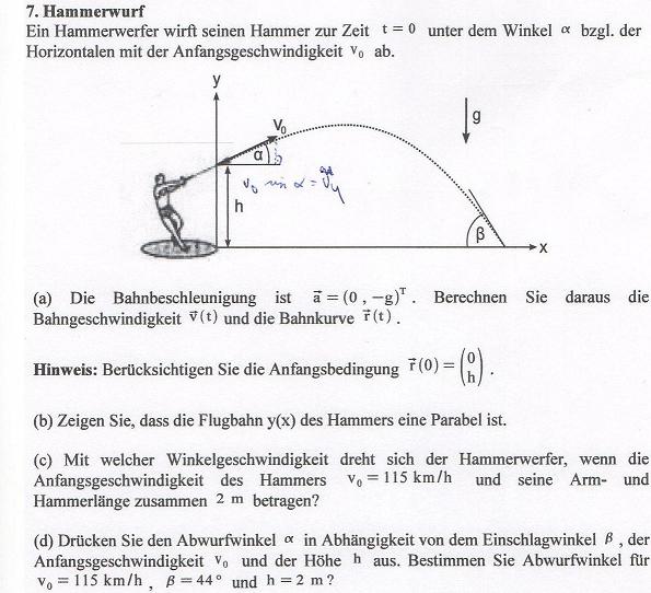 ExPhys Hammerwurf1.jpg