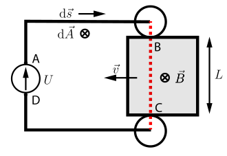 Hering.png