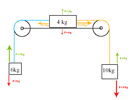 phyB2A4.gif